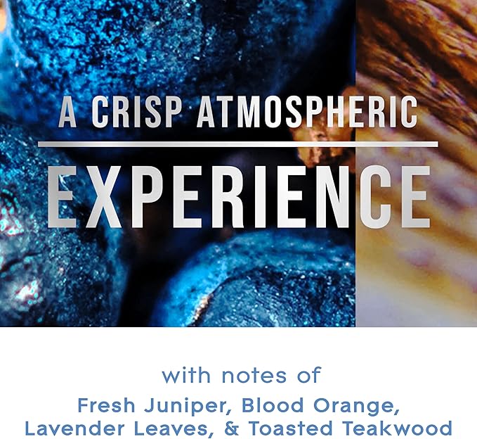 Glade PlugIns Refills Air Freshener, Juniper & Teak, Scented and Essential Oils for Home and Bathroom, 0.67 Fl Oz, 10 Count