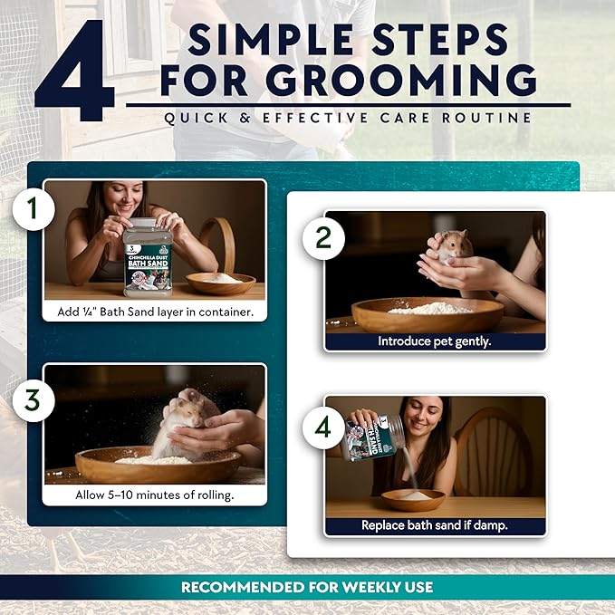 3 LB. Chinchilla Dust Bath Jar - Pure Cleansing Pumice Sand Dust for Cleaning Small Pets Like Gerbils, Mice, Degu - Premium, All Natural Dusting Powder - Chinchilla Accessories by Billy Buckskin