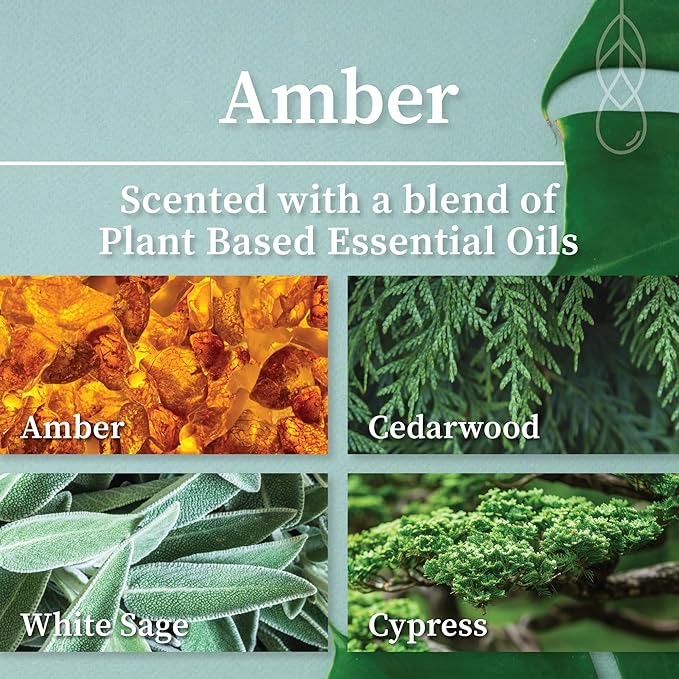 Hemlock Park Crackling Wood Wick Candle Handcrafted with Natural Coconut Wax (Large 16 oz, Amber)