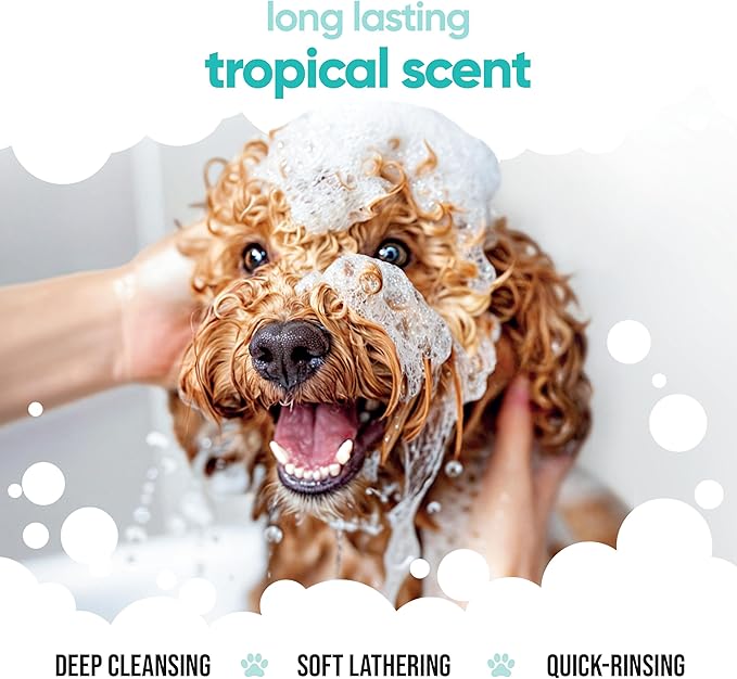 Tropical Dog Shampoo by Buddycare | Deep Cleansing Shampoo for Dogs | Tropical Scented | with Aloe Vera and Pro Vitamin B5 (50.72oz)