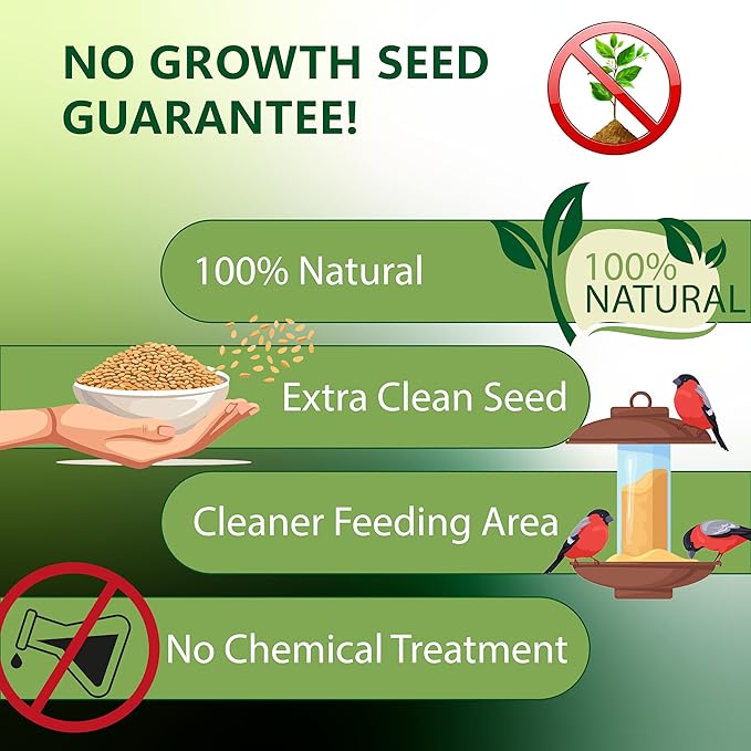 Happy Wings Nyjer/Thistle Seeds Wild Bird Food - 10 Pounds I No Grow Seed I Bird Seed for Wild Birds