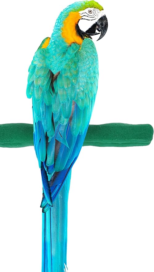 Sweet Feet and Beak Comfort Grip Safety Perch for Bird Cages - Pedicure Perch for Birds to Keep Nails and Beaks in Top Condition - Safe Easy to Install Bird Cage Accessories - L 13"