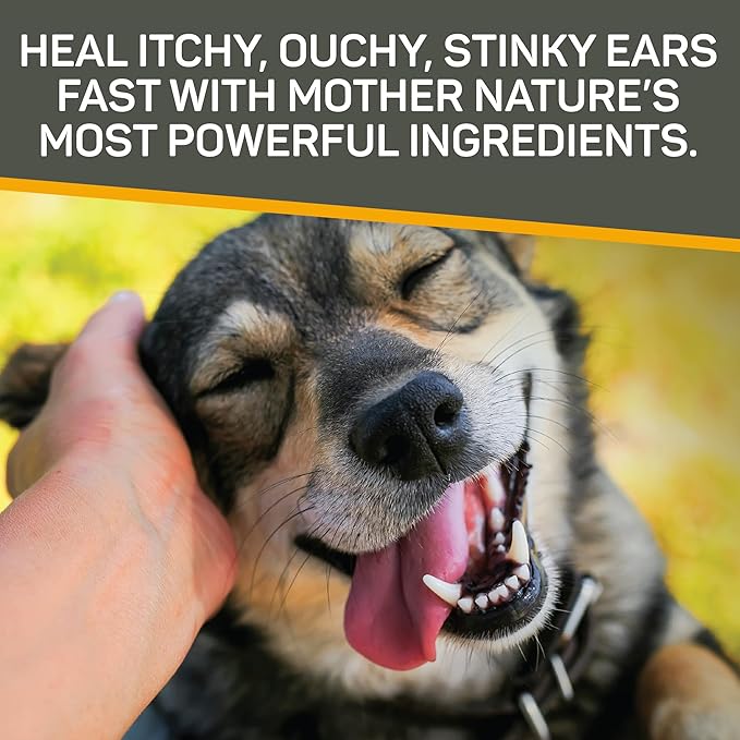 Absorbine Silver Honey Rapid Ear Care Vet Strength Ear Cleaner + Infection Treatment, 10-Day Regimen for 1 Ear, Safe for Dogs & Cats, Medical Grade Manuka Honey & MicroSilver BG