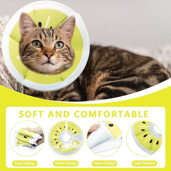 Soft Adjustable Cat Cone Collar, Comfortable Cat Recovery Collar Suitable for Various Types of Cats,Elizabethan Neck Protective Collar for Cats After Surgery (Gold Kiwi, Small)