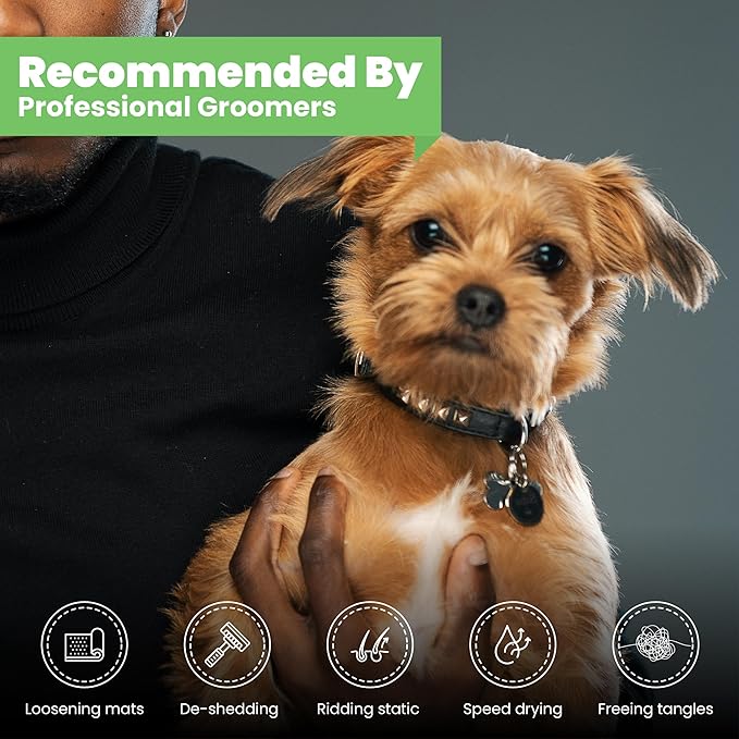 Best Shot Ultra Dirty Plenish Conditioner, Ideal Pet Grooming Conditioner, Protein-Enriched Moisturizing Formula for Dogs, Cats, and Horses, Agree Fragrance, 1 Gallon