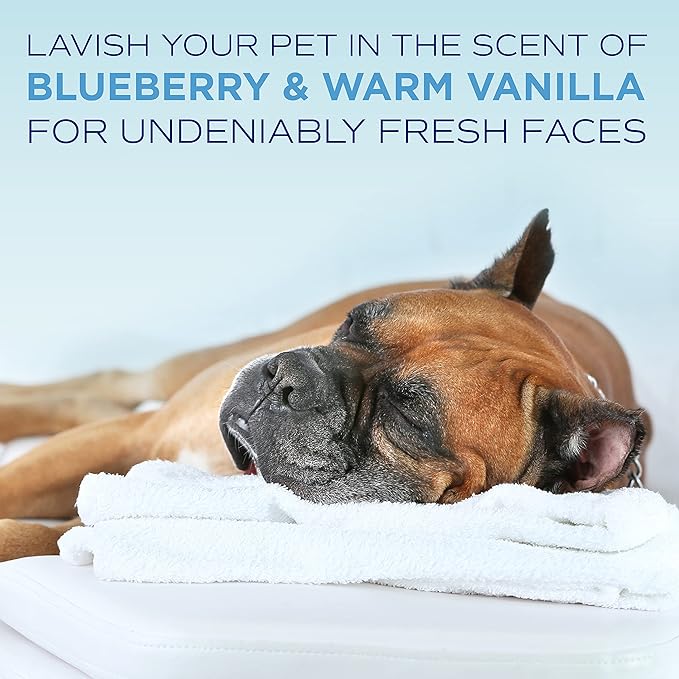 TropiClean SPA Tear Stain Remover for Dogs | Blueberry Facial Shampoo | Odor Eliminator | Tearless | Whitening and Brightening | Made in USA | 1 Gallon