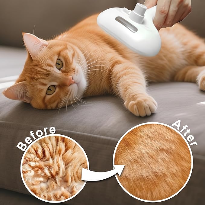 Pet Steam Brush for Dogs & Cats - 2-in-1 Deshedding & Detangling Tool with Steam Spray, Anti-Static Grooming Brush for Long/Short Haired Pets, Waterless Cleaning & Massage(White)