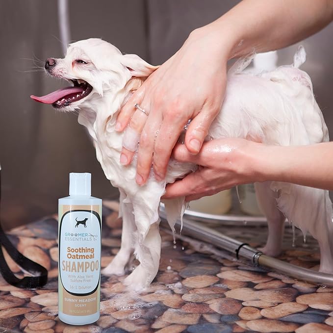 All Natural Soothing Oatmeal Dog Shampoo 16oz. (for Itchy Skin)