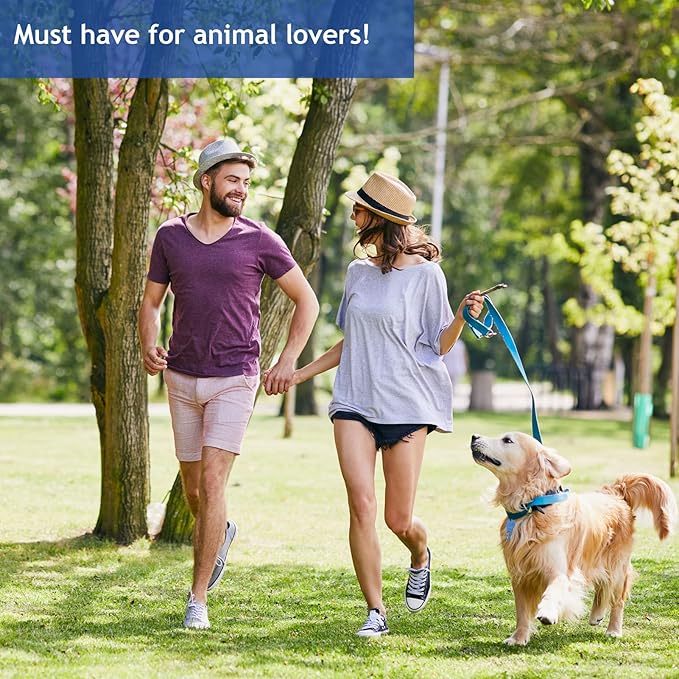 Tick Remover Tool Portable, Tick Removal for Pet and Humans, Safe and Reliable, Pain-Free, Essential Tools for Outdoor Activities- 3 pcs