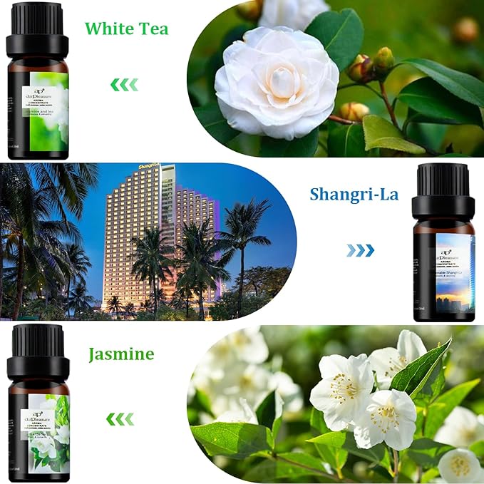 Flower Essential Oils Set, 6x10ml Aromatherapy Oil Gift Kit for Diffuser, Fragrance, Humidifier, Air Purifier- Gardenia, Magnolia, Shangri-La, Jasmine, White Tea, Lavender