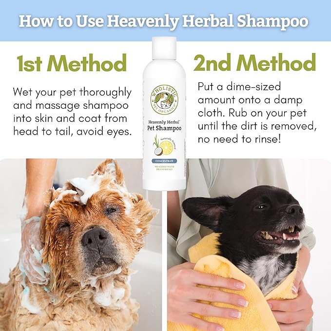 Wholistic Pet Organics Pet Shampoo Concentrate: Heavenly Herbal Organic Dog Shampoo and Conditioner - All Natural Puppy and Cat Shampoo for Dry, Itchy Skin, Allergies, Dandruff Shampoo - 2 oz