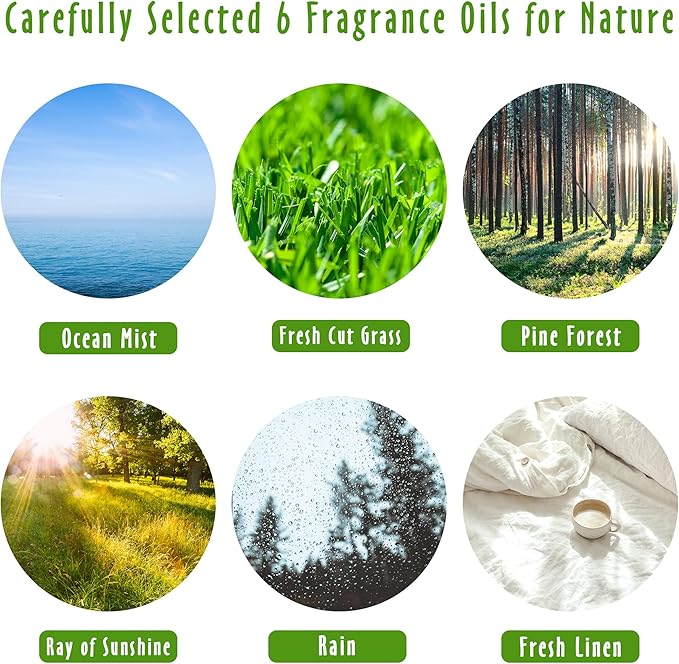 Fragrance Oils, MitFlor Nature Set of Essential Oils for Diffusers for Home, Soap & Candle Making Scents, Aromatherapy Oil Gift Set, Ocean Mist, Rain, Pine Forest and More, 6x10ml