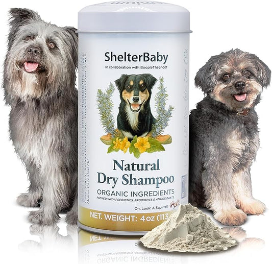 Dry Shampoo for Dogs – Antifungal Itchy Skin & Hot Spot Relief, Yeast Infection & Paw Licking Treatment, Dog Powder with Allergy Support