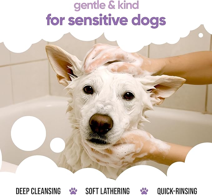 White Dog Shampoo by Buddycare | Brightening and Whitening Shampoo for Dogs | Deep Cleansing, Fresh Scented | with Aloe Vera and Pro Vitamin B5 (50.72oz)