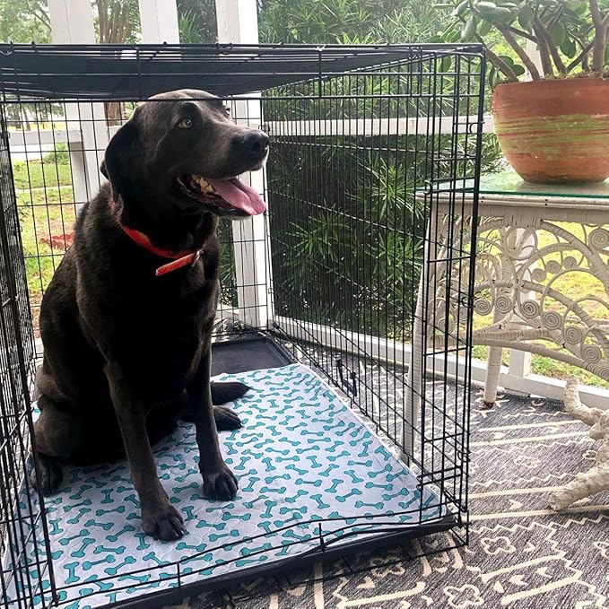 rocket & rex Premium Washable Pee Pads for Dogs, Waterproof & Reusable Puppy Pads for Potty Training, Whelping, Lining Crates & More, Guaranteed for up to 300 Washes, 30" x 36" (Pack of 2)