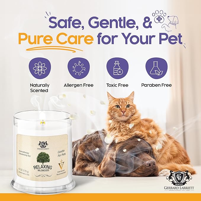 Pet Odor Eliminator Candle Relaxing Wildwoods Scented Candle, Calming Candles Aromatherapy for Home Decor, Soy Wax Pet Candles Odor Eliminator for Animal Lover, Aromatherapy by Gerrard Larriett