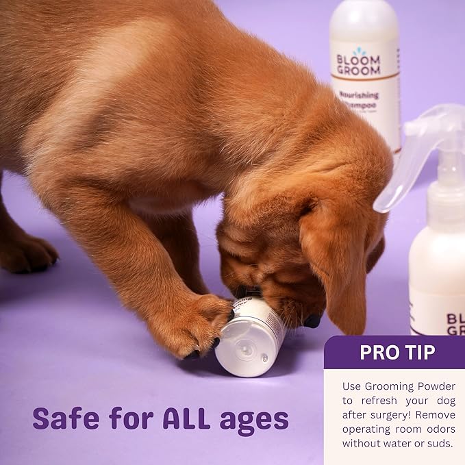 Grooming Powder – Waterless Dry Shampoo for Dogs | Deodorizing & Anti-Itch Coat Refresher | Talc-Free, Non-Toxic, Made in USA Dog Deodorizer with Colloidal Oatmeal & Aloe – 1.52 oz