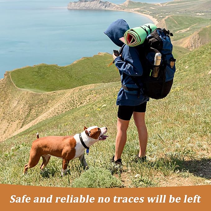 Tick Remover Tool Portable with Tick Removal Tweezers Suitable for Pet and Humans, Safe and Reliable, Quick Highly Effective, Pain-Free, Essential Tick Remover Key Tools for Outdoor Activities-3 Pack