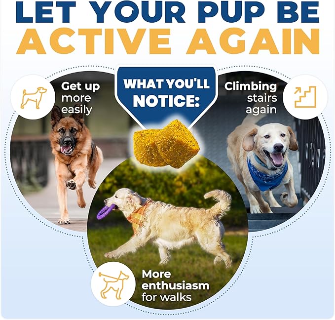 Jope Hip & Joint Supplement for Dogs Large, Medium, Small - Joint Chews w/UC-II® Collagen - Proven Better Than Glucosamine Chondroitin in Canine Health - Veterinarian Formulated, Omega 3 & Curcumin