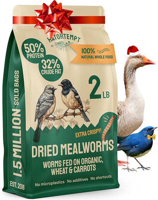 Hatortempt Dried Mealworms - 2 Lb Bag - High Protein Chicken Feed, Mealworms for Birds & Chickens - Meal Worms for Wild Birds & Turtles