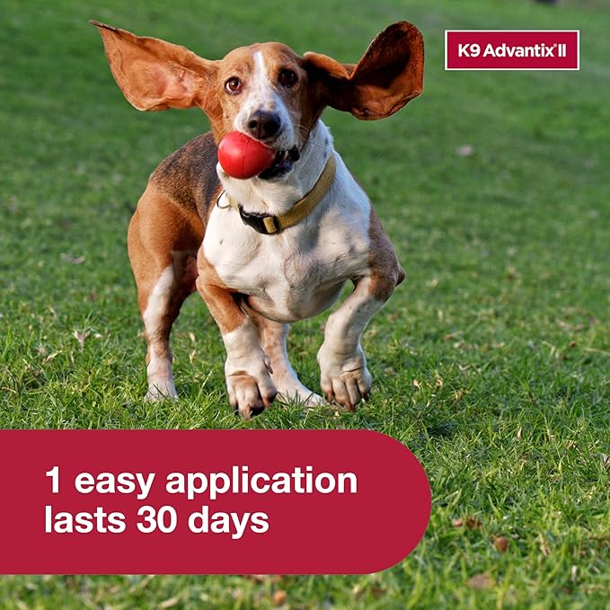K9 Advantix II Medium Dog Vet-Recommended Flea, Tick & Mosquito Treatment & Prevention | Dogs 11-20 lbs. | 1-Mo Supply (Pack of 3)