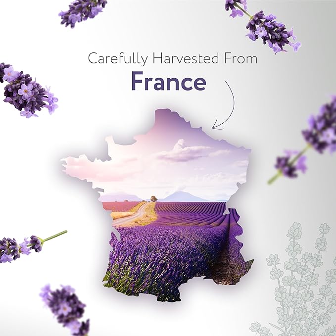 HBNO Organic Lavender Dutch Oil - 32 oz (950 ml) Large Size - Ideal for Shampoos, Conditioners, Mouth Washes, Face wash, Lotions, and Skin Care Products (Glass Bottle).