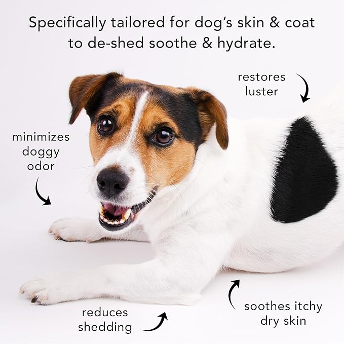 Pride and Groom The Shedder | Dog Deshedding Shampoo | All Natural Body Wash with Essential Oils & Ingredients That Reduce Pet Shedding & Fur Dander for Curly and Wavy Coats – 16oz