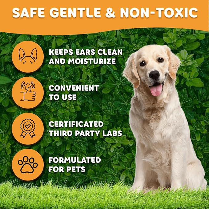 Petglow Dog Ear Cleaner, Gentle Wax Remover, Gentle Ear Cleaning Drops, Effective Ear Drops for Itch, Odor, Aloe Vera and Turmeric Ear Cleaning Solution for Dogs, Cruelty-Free