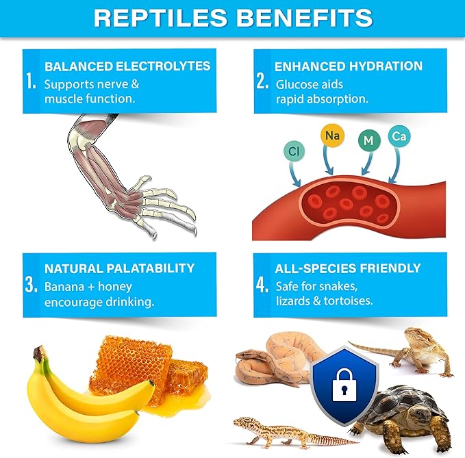 'ReptiLyte' Electrolyte Drink Supplement with Fruit for Reptiles | Hydration & Palatability Boost | Bearded Dragons, Geckos, Lizards, Tortoises | Made in USA. Enjoy!