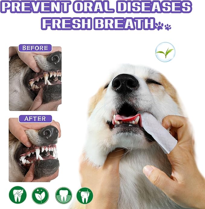 55 Counts PET Teeth Cleaning Wipes for Dogs & Cats,Dog Dental Wipes for Reducing Plaque & Tartar, Gentle Dental and Gum Care Finger Pet Wipes (55PCS-Teeth Cleaning Wipes)