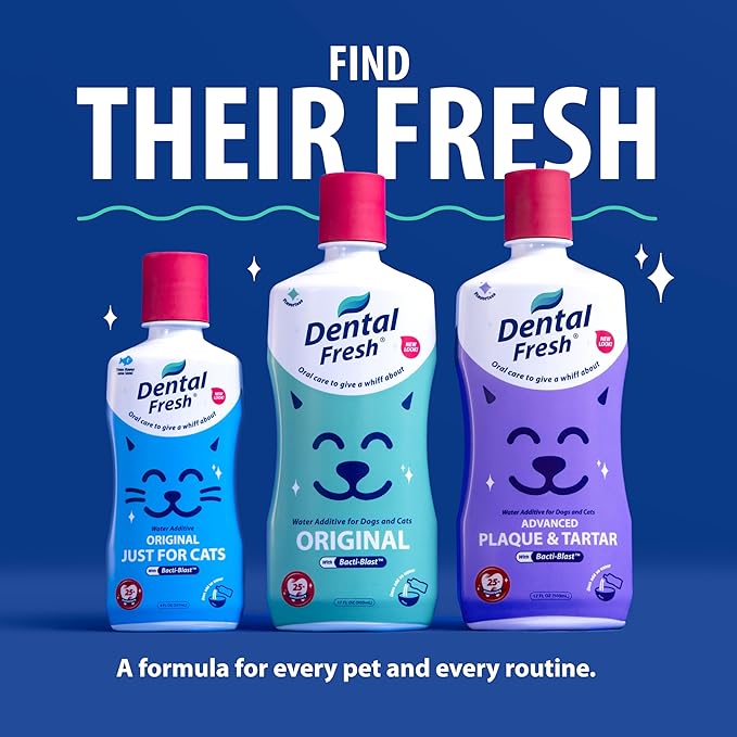 Dental Fresh Water Additive for Dogs and Cats, Clean Teeth and Fresh Breath, Daily Pet Oral Care, Flavorless, 32 fl oz