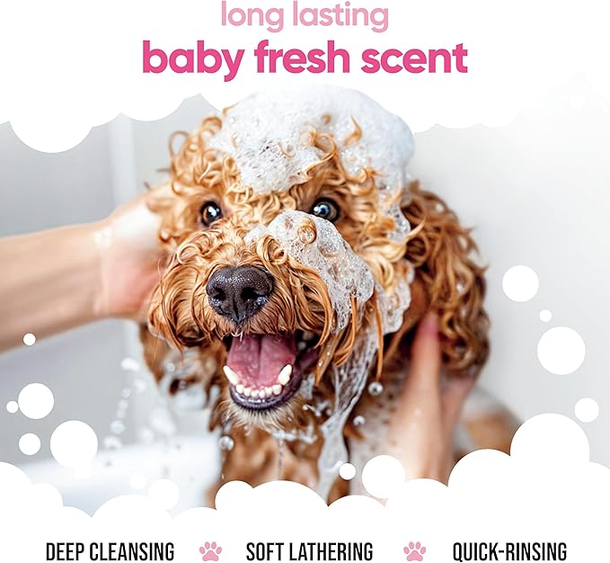 Baby Fresh Dog Shampoo by Buddycare | Deep Cleansing Shampoo for Dogs | Fresh Scented | with Aloe Vera and Pro Vitamin B5 (50.72oz)