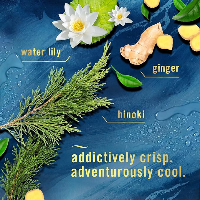 Febreze Plug In Air Freshener, Odor-Fighting Scented Oil Refill, Air Fresheners for Home and Bathroom and Kitchen, Long Lasting for Strong Odors, Ocean & Mountain Scents, 0.87oz Refills, 4 Count