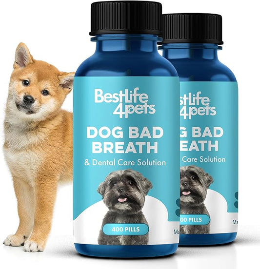 Dog Dental Care & Bad Breath Remedy, Natural Dog Oral Care for Healthy Teeth, Mouth & Gums, Daily Canine Breath Freshener, Plaque, Tartar Control Helps Reduce Gingivitis, Easy to Use 800 Tiny Pills