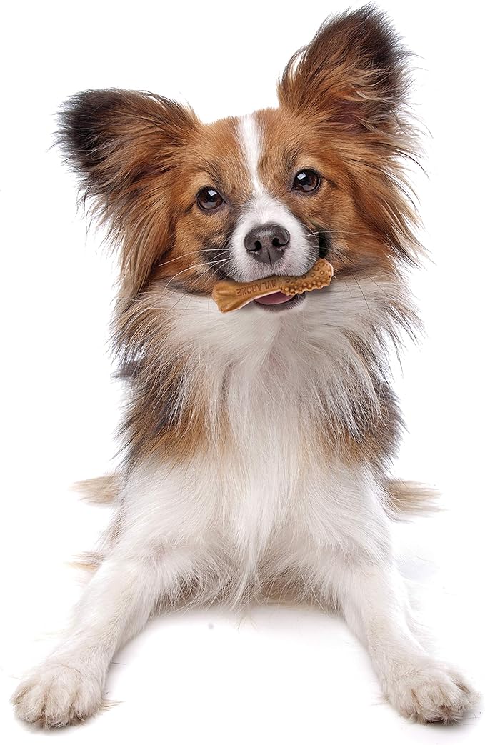 Nylabone Nutri Dent Dog Dental Chews - Natural Dog Teeth Cleaning & Breath Freshener - Dental Treats for Dogs - Filet Mignon Flavor, Mini (160 Count)