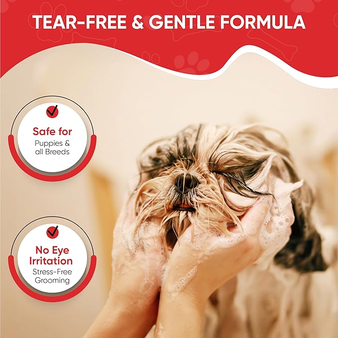 Warren London Foaming Pet Facial – Tear Free Dog Face Wash & Tear Stain Remover | Gentle Puppy & Dog Face Shampoo | Cucumber Melon Scent | Made in USA | 1 Gallon Refill