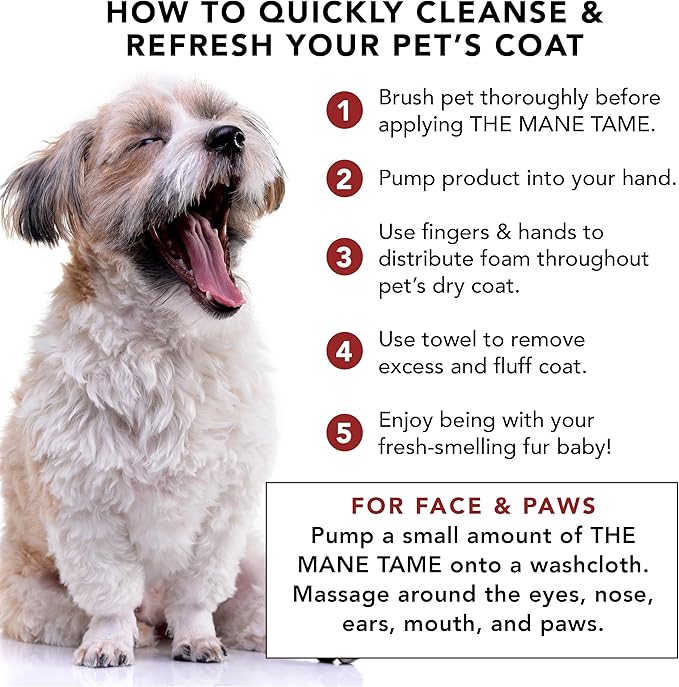 Pride and Groom The Mane Tame Dog Dry Shampoo – Waterless Foam for Dogs and Cats Made in USA for a Rinse Free Cleanse and to Eliminate Odor in Between Baths On-The-Go – 7.1 fl oz