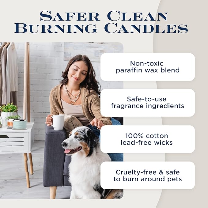 HomeWorx by SLATKIN + CO. Candle- Frozen Balsam, 18 oz. 4-Wick Premium Scented Candle - 30-55 Hours Burn Time