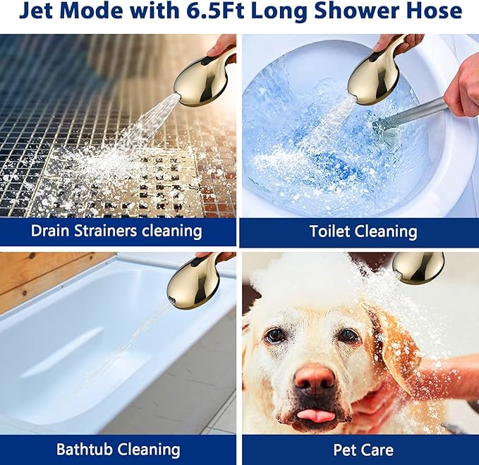 High Pressure 10 Setting Handheld Shower Head, 5" Detachable Showerhead Spray Built-in Power Wash to Clean Tub, Tile & Pets, 79" Extra Long Stainless Steel Hose, Adjustable Bracket - Gold