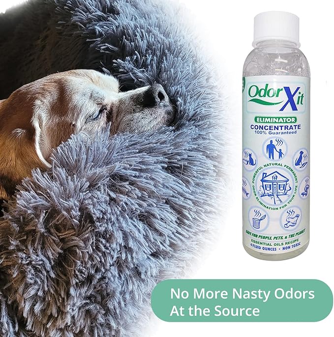 OdorXit Odor Eliminator Concentrate (4oz) + Magic Air Odor Neutralizer Spray (8oz) – Natural & Safe Odor Removal for Pets, Home & On-the-Go
