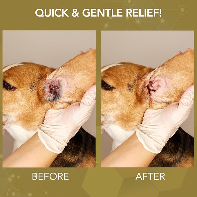 NOVEHA Dog Ear Therapy - Soothes Itchiness, Cleans Ear Canal, and Controls Odor, Ear Cleaner for Dogs - Stop Ear Itching That May Cause Infection - Hypochlorous Acid Cleaning Solution - 8 oz Bottle