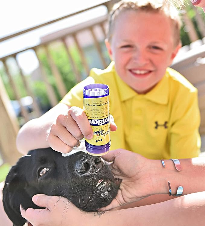 Handy Hound SnoutScreen Dog Nose Balm and Paw Balm, Moisturizing Formula for Dry or Cracked Noses, Vet Recommended, Made in USA, Protects Against UVB and UVC Rays, 2 oz