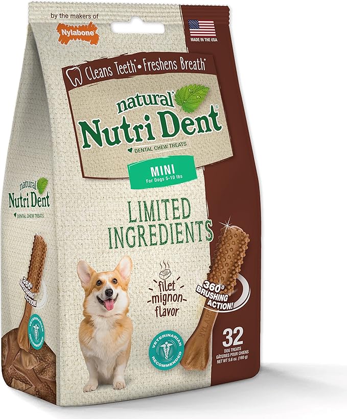 Nylabone Nutri Dent Dog Dental Chews - Natural Dog Teeth Cleaning & Breath Freshener - Dental Treats for Dogs - Filet Mignon Flavor, Mini (32 Count)