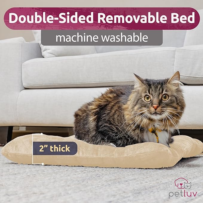 Soft-Sided Cat & Dog Pet Carrier, Large 24"x16"x16", Fits Large Cat, 2 Cats, or Medium Dog Comfortably, Great for Travel & Vet Visits, Privacy Windows, Removable Bed, Locking Zippers, Folds Flat