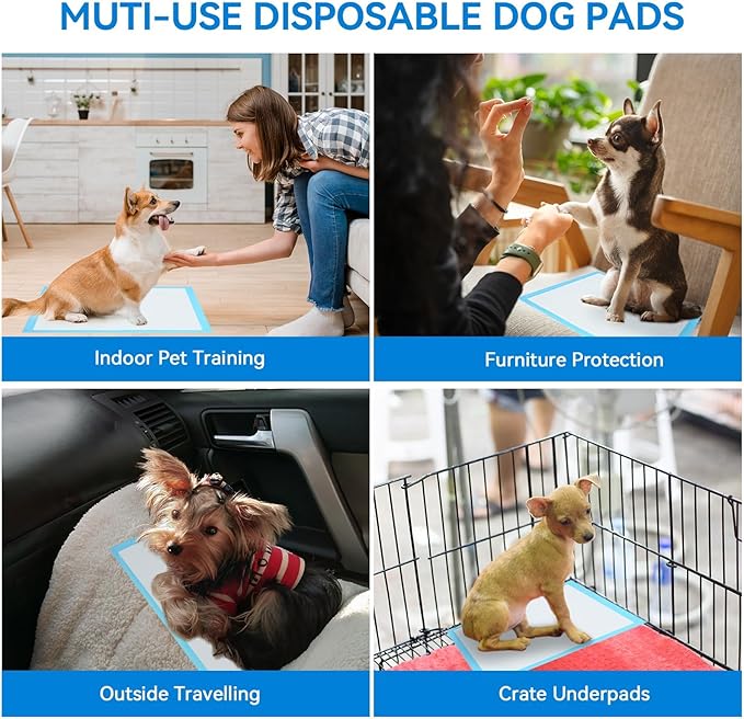 JollyMate Pet Pee Pads - Strong Absorption& Leak-Proof for Dogs - Puppy Pads - Super Absorbent, Waterproof, Quick-Dry, Unscented for Dogs and Cats, Rabbits (Pack of 100-13x18)