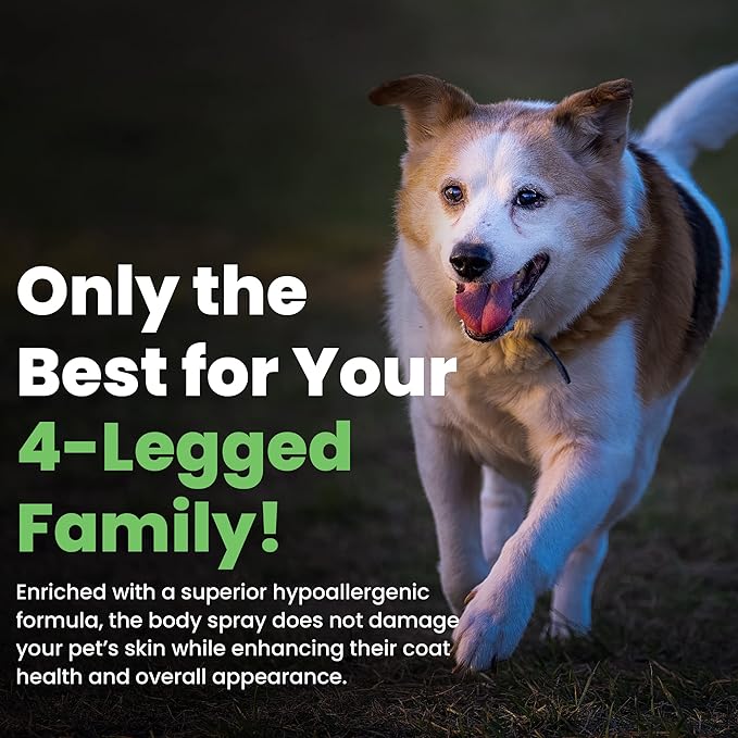 Best Shot Scentament Spa Botanical Body Splash, Harvest Apple, 8 oz