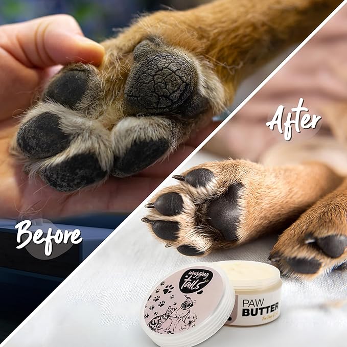 Wagging Tails 6-in-1 Paw Butter for Dogs & Cats, 1.76 fl oz Pack of 3 Turmeric & Honey-Infused Lick-Safe Balm | Relieves Elbow & Paw Discomfort, Repairs Cracks, Moisturizes Pads & Softens Snouts