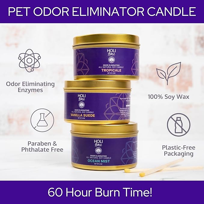 HOLI Pet Odor Eliminator Candle – Ocean Mist Scent – All Natural Soy Wax, Paraben & Phthalate Free, Pet Safe, Long-Lasting 30-Hour Burn, Non-Toxic & Plastic-Free Air Freshener for Home