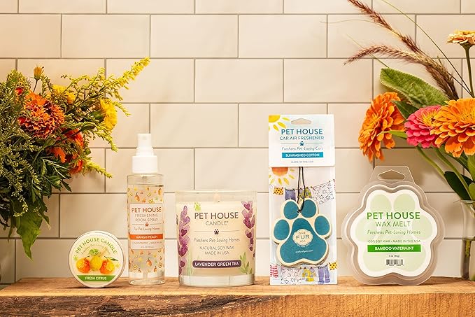 One Fur All Pet Odor Candle 9 OZ Plant-Based Soy Candle, Clean Burning Long Lasting Pet Air Freshener for Home - Tropical Fruit