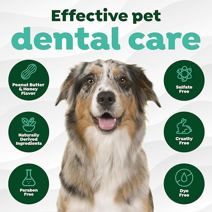 TropiClean Fresh Breath - Kong Dental Ball for Medium Dogs - Dog Teeth Cleaning Kit - Removes Plaque - Peanut Butter & Honey Dog Toothpaste, 1oz